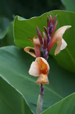 _DSC7042.webp