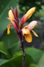 _DSC7046.webp