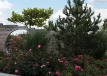 LAGA Rosen_5.webp