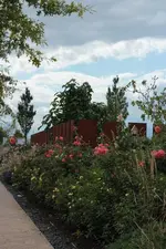 LAGA Rosen_7.webp