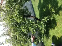 IMG_1714[1].webp