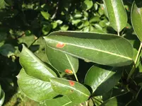IMG_1716[1].webp