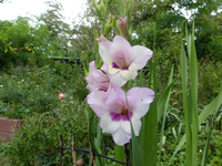 P1180960.webp