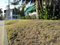Goodbye Rasen California! 01.webp