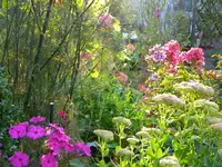 DSCN9379.webp