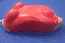 dig-body-mouse-2.webp