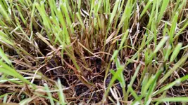20140822_091811.webp