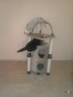 CAM00164.webp