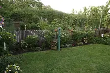 Garten II.webp