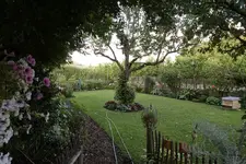 Garten.webp