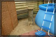 comp_DSC02189.webp