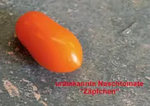 DSC_0440_gelbe_Naschtomate.webp