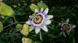20140824_073449.webp