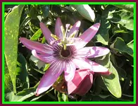 009.webp