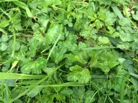 Foto 2.webp