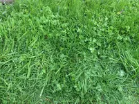 Foto 3.webp