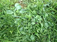 Foto 4.webp