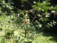 BILD3279.webp