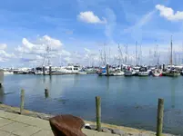 CIMG8546.webp