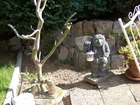 010.webp