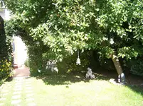 011.webp