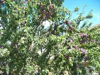 023.webp