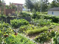 Gemüsegarten.webp