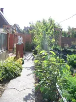 Obstspalier.webp