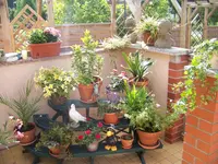 Terrasse.webp