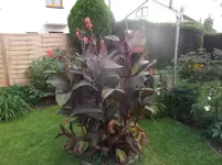 DSCF0415.webp