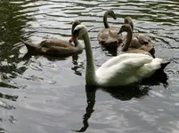 P1020641.webp
