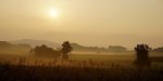 Morgensonne im Nebel.JPG