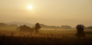 Morgensonne im Nebel.webp