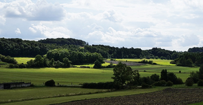 Nesselbachtal.webp