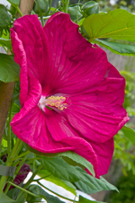 IMG_4796-WM.webp