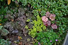 DSC_2327.webp
