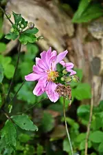 DSC_2306.webp