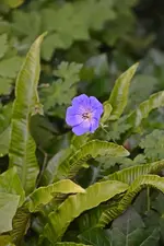 DSC_2319.webp