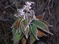 100_1057.webp