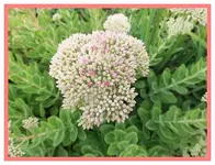 064.webp