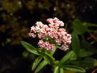 DSCF8220m (1).webp
