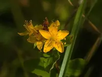 K800_DSCF4661.webp