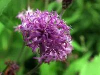 K800_DSCF4667.webp