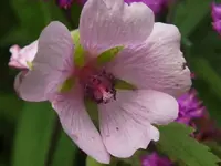 K800_DSCF4668.webp