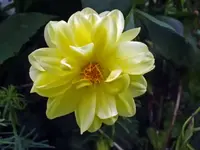 K800_DSCF4669.webp