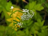 K800_DSCF4672.webp