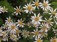 K800_DSCF4705.webp