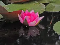 K800_DSCF4711.webp