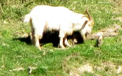Copy of IMG_0171v.webp