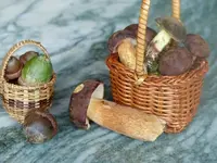 Herbstzauber 010.webp